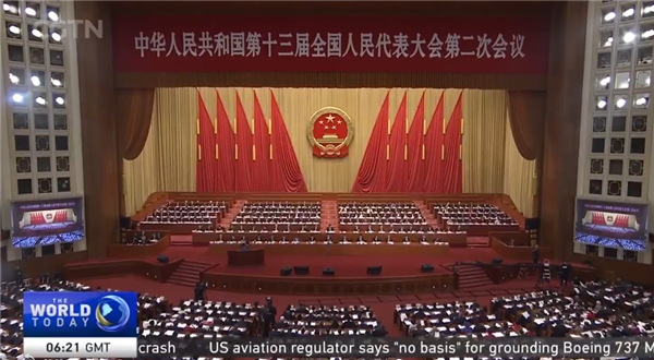 中华人民共和国第十三届全国人民代表大会第二次会议.png
